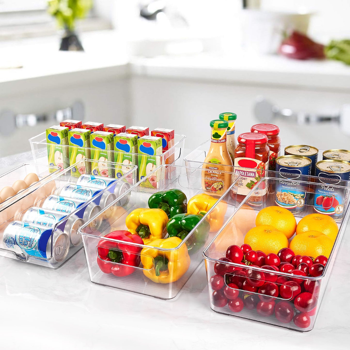 10PCS Fridge & Pantry Organizer Set – Clear Bins with Handles, Egg & Can Holders